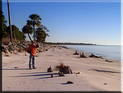 Landschaften in Florida