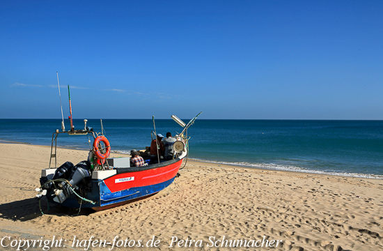 Salema 2