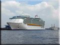 Das Kreuzfahrtschiff Freedom of the Seas