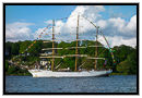 Das Segelschulschiff Cisne Branco der brasilianschen Marine bei der Auslaufparade in Hamburg